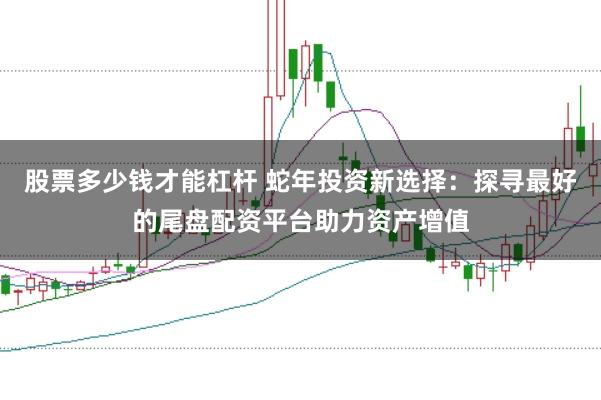 股票多少钱才能杠杆 蛇年投资新选择：探寻最好的尾盘配资平台助力资产增值