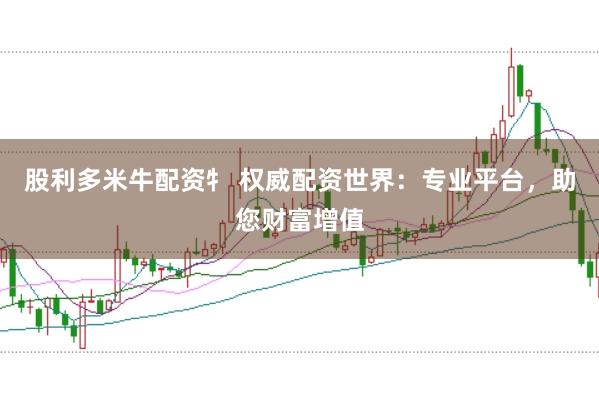 股利多米牛配资牜 权威配资世界：专业平台，助您财富增值