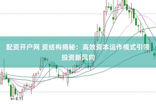 配资开户网 资结构揭秘：高效资本运作模式引领投资新风向