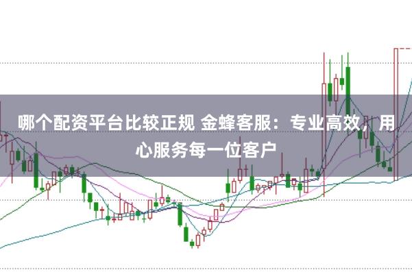 哪个配资平台比较正规 金蜂客服：专业高效，用心服务每一位客户