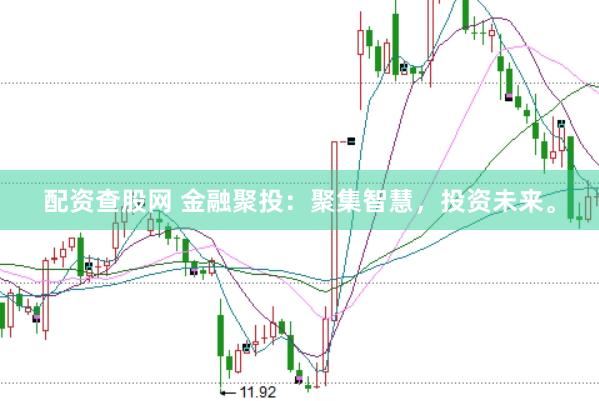 配资查股网 金融聚投：聚集智慧，投资未来。
