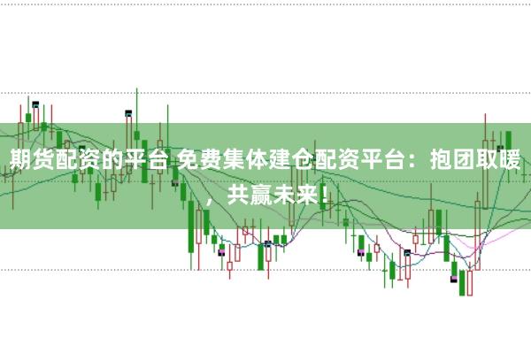 期货配资的平台 免费集体建仓配资平台：抱团取暖，共赢未来！